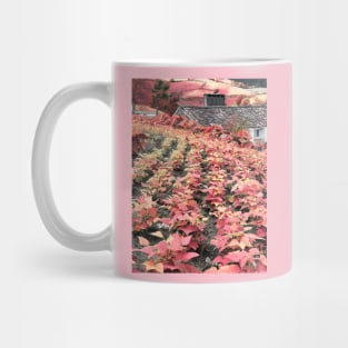 Organic agriculture Mug